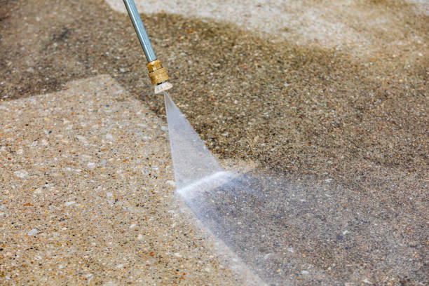 Best Boat and Dock Cleaning  in Zimmerman, MN
