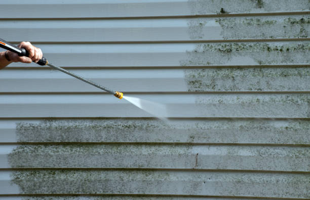 Best Dumpster Area Cleaning  in Zimmerman, MN